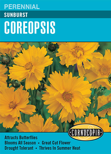 Visuel officiel de Cornucopia associé aux semences de Coréopsis ‘Sunburst’, référence CS228. Les fleurs semi-doubles et doubles sont jaune doré avec un centre plus foncé. Elles dominent un feuillage vert et les plantes atteignent environ 60 cm (24 po). Cette vivace convient aux bordures et aux plantations d’allure naturelle. Cette image accompagne la fiche de cette sélection et permet de repérer le produit correspondant dans le catalogue de semences.
