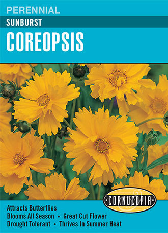 Visuel officiel de Cornucopia associé aux semences de Coréopsis ‘Sunburst’, référence CS228. Les fleurs semi-doubles et doubles sont jaune doré avec un centre plus foncé. Elles dominent un feuillage vert et les plantes atteignent environ 60 cm (24 po). Cette vivace convient aux bordures et aux plantations d’allure naturelle. Cette image accompagne la fiche de cette sélection et permet de repérer le produit correspondant dans le catalogue de semences.
