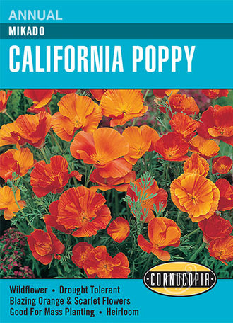 Visuel officiel de Cornucopia associé aux semences de Pavot de Californie ‘Mikado’, référence CS229. Cette référence propose le pavot de Californie Mikado. Les fleurs et le feuillage finement découpé s’intègrent aux bordures et aux plantations d’allure naturelle. Cette image accompagne la fiche de cette sélection et permet de repérer le produit correspondant dans le catalogue de semences.