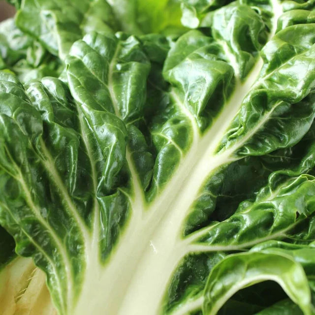 Semences Hortinova de Bette à carde 'Lukullus', produit destiné au potager et présenté pour identifier clairement le cultivar avant le semis. Vue 1 de l'emballage ou du produit, à utiliser comme repère visuel avec les conseils de culture, l'exposition, l'arrosage et la récolte indiqués dans la fiche française de Pépinière.ca.