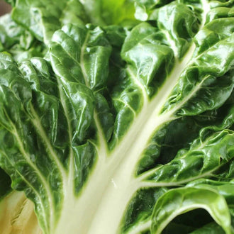 Semences Hortinova de Bette à carde 'Lukullus', produit destiné au potager et présenté pour identifier clairement le cultivar avant le semis. Vue 1 de l'emballage ou du produit, à utiliser comme repère visuel avec les conseils de culture, l'exposition, l'arrosage et la récolte indiqués dans la fiche française de Pépinière.ca.