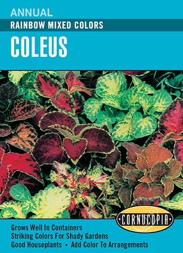 Visuel officiel de Cornucopia associé aux semences de Coléus Rainbow, référence CS231. Ce mélange de coléus est destiné à la culture pour le feuillage décoratif. Il permet d’associer plusieurs colorations dans les contenants et les plantations saisonnières. Cette image accompagne la fiche de cette sélection et permet de repérer le produit correspondant dans le catalogue de semences.