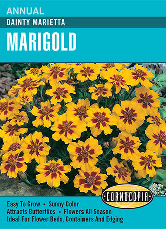 Visuel officiel de Cornucopia associé aux semences d’Œillet d’Inde ‘Dainty Marietta’, référence CS234. Cette référence propose l’œillet d’Inde Dainty Marietta. Il se cultive pour sa floraison décorative dans les bordures, les massifs et les contenants adaptés. Cette image accompagne la fiche de cette sélection et permet de repérer le produit correspondant dans le catalogue de semences.