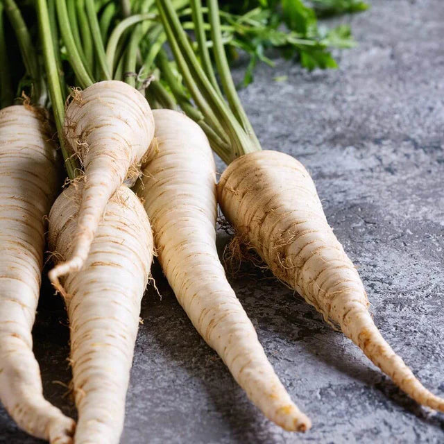 Semences Hortinova de Panais 'Boris', produit destiné au potager et présenté pour identifier clairement le cultivar avant le semis. Vue 1 de l'emballage ou du produit, à utiliser comme repère visuel avec les conseils de culture, l'exposition, l'arrosage et la récolte indiqués dans la fiche française de Pépinière.ca. Pour Panais 'Boris', des observations régulières permettent d'ajuster les soins aux conditions réelles du jardin.