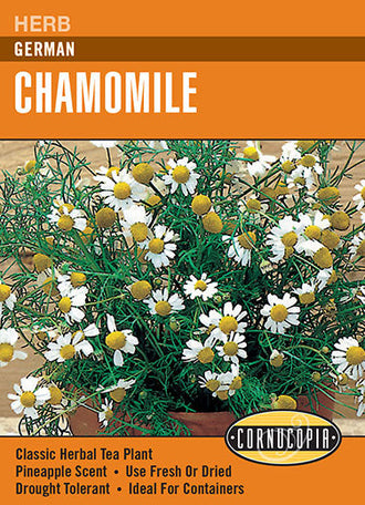 Visuel officiel de Cornucopia associé aux semences de Camomille allemande, référence CS240. Cette référence propose la camomille allemande. Ses petites fleurs se développent au-dessus d’un feuillage fin et peuvent être cultivées dans un jardin d’herbes. Cette image accompagne la fiche de cette sélection et permet de repérer le produit correspondant dans le catalogue de semences.