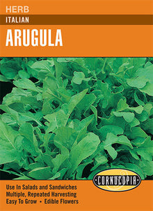 Visuel officiel de Cornucopia associé aux semences de Roquette, référence CS241. Cette référence propose des semences de roquette pour la récolte de feuilles. Les jeunes feuilles se cueillent au fur et à mesure des besoins pour les salades et les garnitures. Cette image accompagne la fiche de cette sélection et permet de repérer le produit correspondant dans le catalogue de semences.