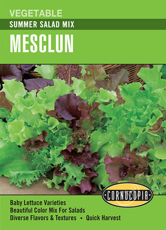 Visuel officiel de Cornucopia associé aux semences de Laitue Summer Salad Mix, référence CS248. Ce mélange comprend Red Salad Bowl, Red Oakleaf, Royal Oakleaf, Tango, Parris Island Cos, Buttercrunch et Waldmann’s Green. Il convient aux jeunes pousses et aux feuilles plus développées. La récolte est annoncée autour de 30 à 45 jours.