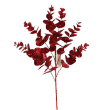 Tige d’eucalyptus scintillante – Rouge
