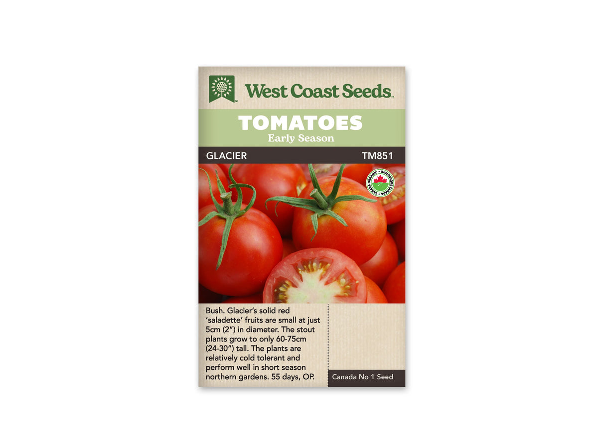 Sachet West Coast Seeds avec les mentions Tomatoes, Early Season et Glacier. La photo montre plusieurs tomates rouges, dont une coupée qui laisse voir sa chair et ses loges. Des calices verts sont visibles entre les fruits. Un logo biologique rond figure à droite, sous les bandeaux verts du haut du sachet.