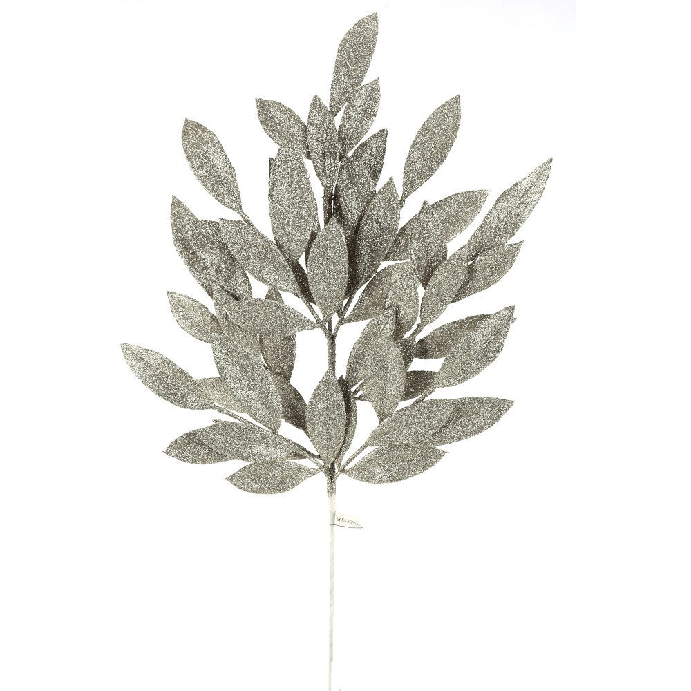 Tige de feuilles de laurier scintillantes