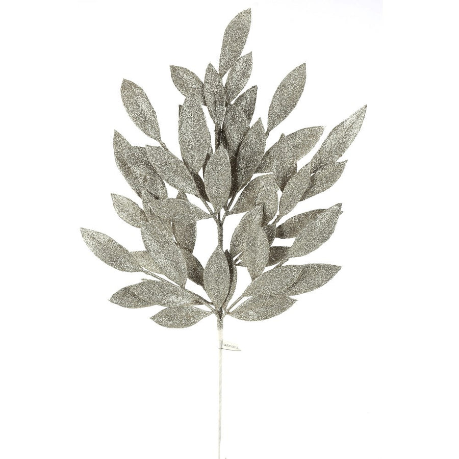 Tige de feuilles de laurier scintillantes