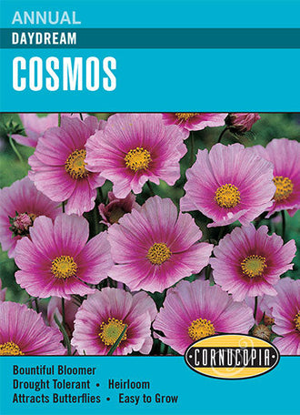 Visuel officiel de Cornucopia associé aux semences de Cosmos ‘Daydream’, référence CS267. Cette référence propose la variété de cosmos Daydream. Les tiges fleuries donnent une silhouette légère aux plantations et peuvent être récoltées pour les bouquets. Cette image accompagne la fiche de cette sélection et permet de repérer le produit correspondant dans le catalogue de semences.