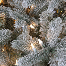Sapin Helsinki