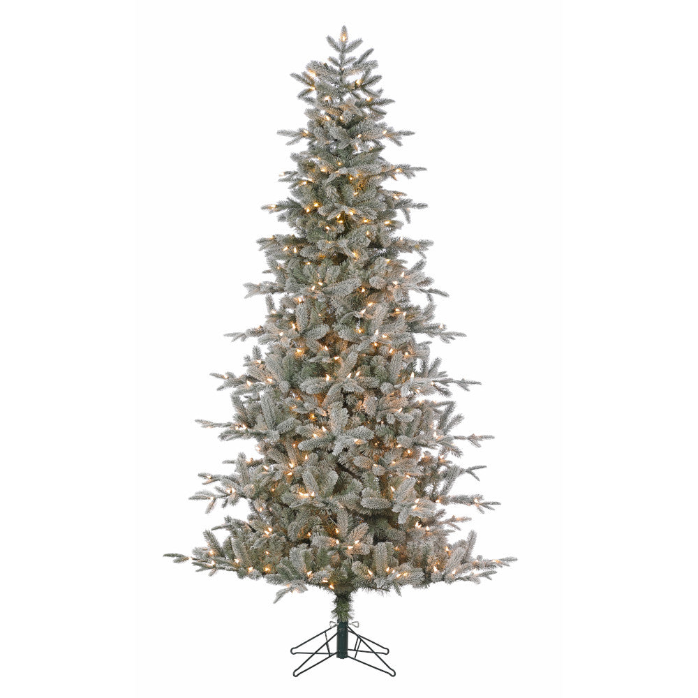Sapin Helsinki