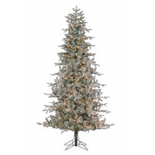 Sapin Helsinki