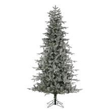 Sapin Helsinki