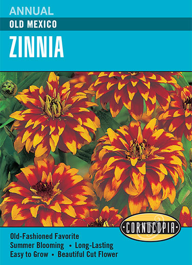 Visuel officiel de Cornucopia associé aux semences de Zinnia ‘Old Mexico’, référence CS272. Cette référence propose la variété de zinnia Old Mexico. Elle se cultive pendant la saison chaude pour la floraison décorative des massifs et des bordures. Cette image accompagne la fiche de cette sélection et permet de repérer le produit correspondant dans le catalogue de semences.