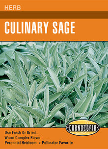 Visuel officiel de Cornucopia associé aux semences de Sauge officinale, référence CS274. Les feuilles souples gris-vert possèdent un arôme soutenu et s’utilisent fraîches ou séchées. Les fleurs pourpres attirent les colibris. La plante trouve sa place dans le jardin d’herbes, les bordures et le potager. Cette image accompagne la fiche de cette sélection et permet de repérer le produit correspondant dans le catalogue de semences.