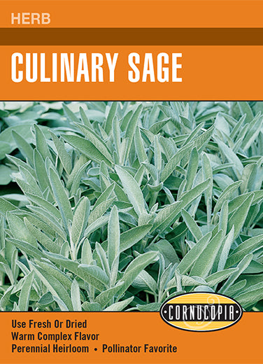 Visuel officiel de Cornucopia associé aux semences de Sauge officinale, référence CS274. Les feuilles souples gris-vert possèdent un arôme soutenu et s’utilisent fraîches ou séchées. Les fleurs pourpres attirent les colibris. La plante trouve sa place dans le jardin d’herbes, les bordures et le potager. Cette image accompagne la fiche de cette sélection et permet de repérer le produit correspondant dans le catalogue de semences.