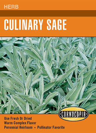Visuel officiel de Cornucopia associé aux semences de Sauge officinale, référence CS274. Les feuilles souples gris-vert possèdent un arôme soutenu et s’utilisent fraîches ou séchées. Les fleurs pourpres attirent les colibris. La plante trouve sa place dans le jardin d’herbes, les bordures et le potager. Cette image accompagne la fiche de cette sélection et permet de repérer le produit correspondant dans le catalogue de semences.