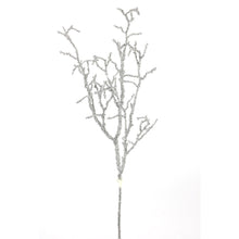 Branche métallisée – Platine