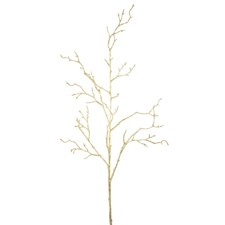 Branche de brindilles — produit sur fond blanc