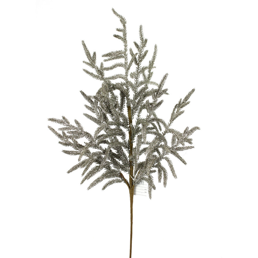 Tige de pin — produit sur fond blanc