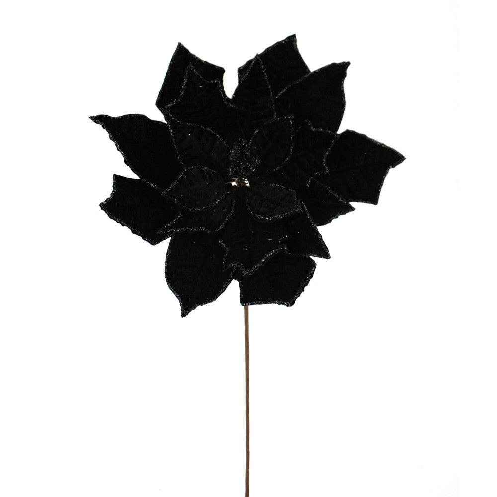 Tige de poinsettia – Noir