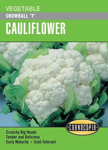 Visuel officiel de Cornucopia associé aux semences de Chou-fleur ‘Snowball’, référence CS277. Les pommes blanches forment des dômes compacts. Cette variété ancienne précoce convient à la cuisson à la vapeur, aux sautés, aux marinades et à la consommation crue. Le semencier annonce environ 65 jours après le repiquage. Cette image accompagne la fiche de cette sélection et permet de repérer le produit correspondant dans le catalogue de semences.