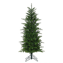 Sapin Beirut