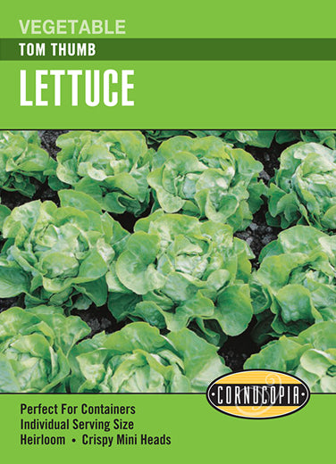 Visuel officiel de Cornucopia associé aux semences de Laitue ‘Tom Thumb’, référence CS280. Les petites pommes sont composées de feuilles vert clair à la texture tendre. Leur format convient aux portions individuelles et aux petits espaces. Le semencier annonce une récolte autour de 40 jours. Cette image accompagne la fiche de cette sélection et permet de repérer le produit correspondant dans le catalogue de semences.