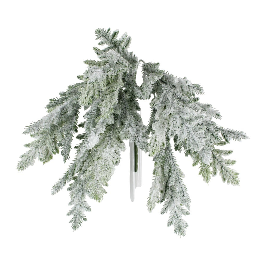 Tige de cèdre et de pin enneigée — produit sur fond blanc