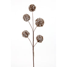 Tige de boules de neige – Brun