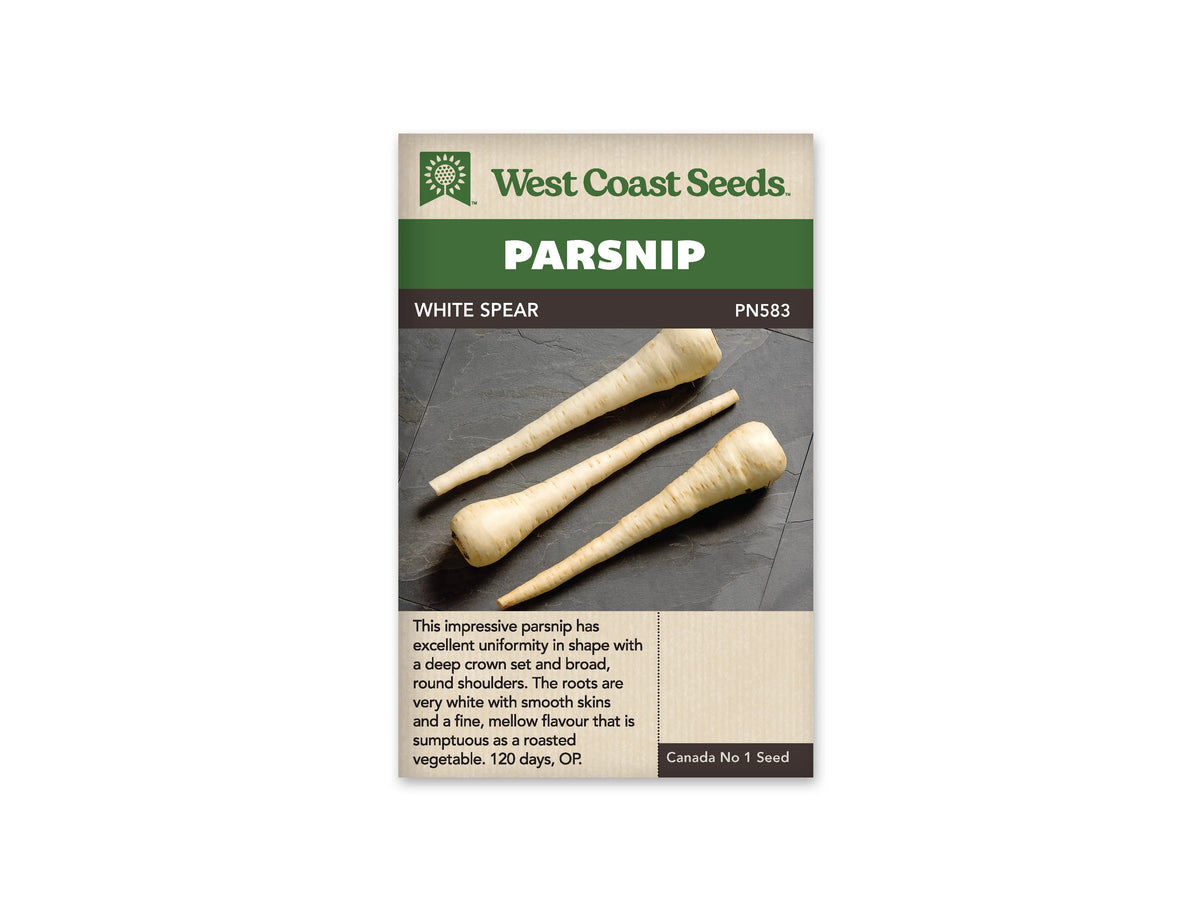 Sachet West Coast Seeds White Spear illustré de trois longs panais ivoire posés en diagonale sur une surface gris foncé. Leurs épaules sont larges et leurs extrémités fines. De petites marques brunes apparaissent sur la peau claire. Le nom de la sélection est inscrit dans le bandeau brun au-dessus de la photo.