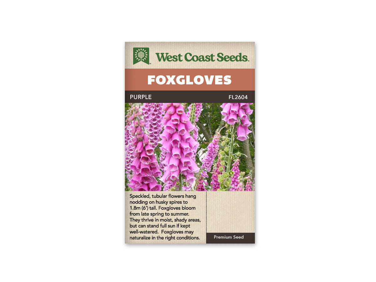 Sachet Purple de West Coast Seeds sur fond blanc. La photo montre de longues hampes de digitales aux fleurs roses et pourpres, ouvertes en cloches pendantes. Des boutons verts occupent le haut de plusieurs tiges, devant un fond de feuillage. Le bandeau orangé indique Foxgloves; le nom Purple et le code FL2604 sont inscrits sur la bande brune.