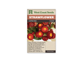 Le sachet West Coast Seeds montre un bouquet d'immortelles rouge cuivré placé dans un vase blanc. Plusieurs fleurs ouvertes présentent des rangées de bractées rouge sombre autour d'un centre jaune vif. Des feuilles vertes et quelques capitules moins ouverts complètent le bouquet. Le bandeau porte le nom Copper Red et la référence FL4070 au-dessus de la photographie.