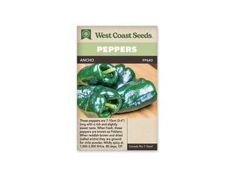 Sachet West Coast Seeds de piment Ancho avec bandeau vert et nom sur une ligne foncée. La photo présente plusieurs fruits verts très foncés, larges et brillants, posés sur une surface de bois clair. Leurs épaules sont arrondies et leurs extrémités se rétrécissent. Le texte descriptif apparaît dans la partie beige au bas du sachet.