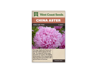 Sachet King Size Pink de West Coast Seeds sur fond blanc. La photo montre une grande fleur rose aux pétales nombreux et courbés, avec un centre plus soutenu. D’autres fleurs roses et des feuilles vertes se trouvent derrière. Le bandeau orangé indique China Aster; King Size Pink et la référence FL4007 apparaissent dans la bande brune.