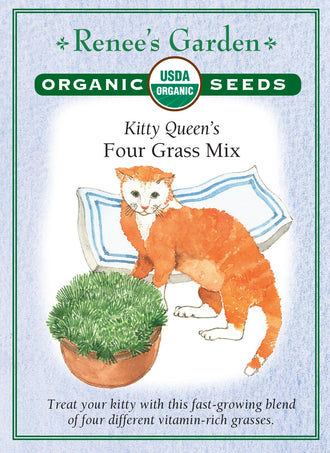 Visuel officiel de Renee's Garden associé aux semences de Graminées en mélange pour chats, référence RN3001. Ce mélange biologique contient à parts égales du seigle, de l’avoine, de l’orge et du blé. Le semencier le propose pour produire de jeunes pousses en pot, destinées notamment aux chats. Les quatre céréales germent et développent un tapis de feuilles. Il ne s’agit pas de la cataire aromatique.