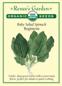 Visuel officiel de Renee's Garden pour les semences « Épinard ‘Regiment’ », référence RN3004. Cette référence biologique produit des feuilles vert foncé, tendres et à saveur douce. Le semencier décrit une production précoce et abondante. Les jeunes feuilles peuvent être utilisées dans les salades après lavage, tandis que les feuilles plus développées se prêtent aux cuissons rapides. Le stade de récolte permet de choisir la texture recherchée.