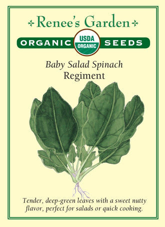 Visuel officiel de Renee's Garden pour les semences « Épinard ‘Regiment’ », référence RN3004. Cette référence biologique produit des feuilles vert foncé, tendres et à saveur douce. Le semencier décrit une production précoce et abondante. Les jeunes feuilles peuvent être utilisées dans les salades après lavage, tandis que les feuilles plus développées se prêtent aux cuissons rapides. Le stade de récolte permet de choisir la texture recherchée.