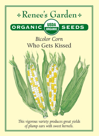 Visuel officiel de Renee's Garden pour les semences « Maïs sucré ‘Who Gets Kissed’ », référence RN3005. Ce maïs sucré bicolore produit des épis bien garnis de grains jaunes et blancs. Le semencier le décrit comme précoce et productif. Les grains offrent une texture tendre, et leur douceur se maintient un certain temps après la récolte. Il s’agit d’un maïs destiné à être récolté frais, au stade convenant à la consommation des épis.