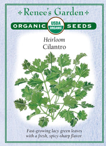 Visuel officiel de Renee's Garden associé aux semences de Coriandre, référence RN3011. Cette référence biologique pousse rapidement et fournit des feuilles découpées au parfum caractéristique. Le semencier recommande des semis répétés pour prolonger l’approvisionnement. Les feuilles se prêtent aux salsas et aux garnitures fraîches. Si les plants fleurissent, leur aspect et leur usage évoluent; la récolte de feuilles devient alors moins abondante.