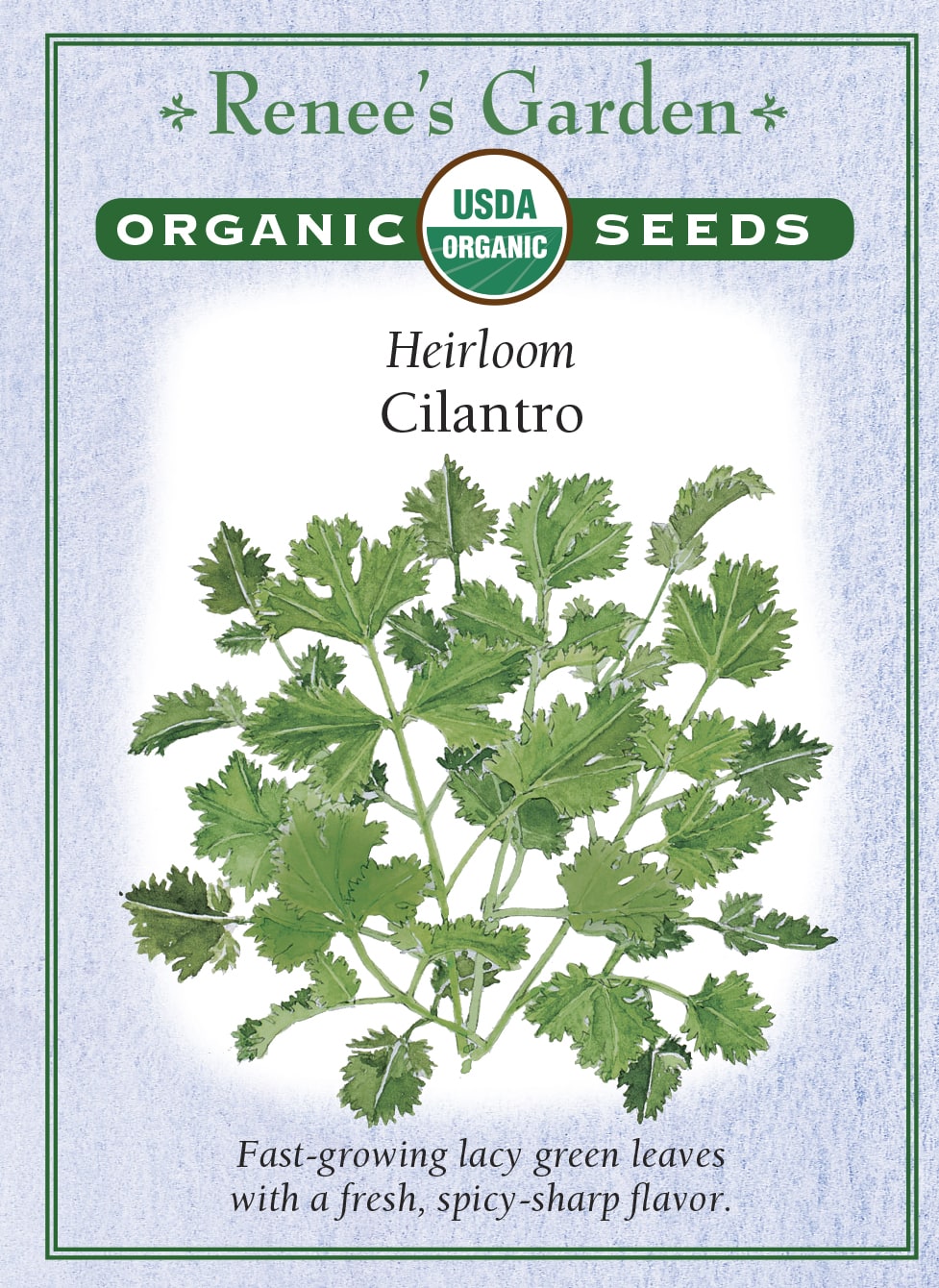 Visuel officiel de Renee's Garden associé aux semences de Coriandre, référence RN3011. Cette référence biologique pousse rapidement et fournit des feuilles découpées au parfum caractéristique. Le semencier recommande des semis répétés pour prolonger l’approvisionnement. Les feuilles se prêtent aux salsas et aux garnitures fraîches. Si les plants fleurissent, leur aspect et leur usage évoluent; la récolte de feuilles devient alors moins abondante.