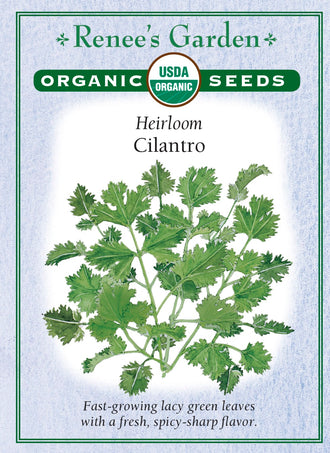 Visuel officiel de Renee's Garden associé aux semences de Coriandre, référence RN3011. Cette référence biologique pousse rapidement et fournit des feuilles découpées au parfum caractéristique. Le semencier recommande des semis répétés pour prolonger l’approvisionnement. Les feuilles se prêtent aux salsas et aux garnitures fraîches. Si les plants fleurissent, leur aspect et leur usage évoluent; la récolte de feuilles devient alors moins abondante.
