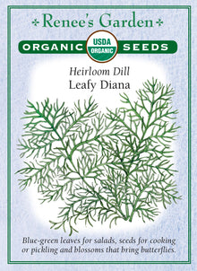 Visuel officiel de Renee's Garden associé aux semences d’aneth ‘Leafy Diana’, référence RN3012. Cette référence biologique développe un feuillage plumeux bleu-vert, au parfum d’aneth. Le semencier le propose pour les salades et les plats d’œufs, de pommes de terre ou de riz. Les feuilles se récoltent fraîches selon les besoins. La floraison modifie ensuite le port et permet d’observer les ombelles.