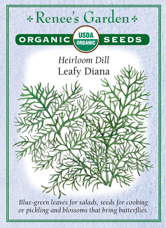 Visuel officiel de Renee's Garden associé aux semences d’aneth ‘Leafy Diana’, référence RN3012. Cette référence biologique développe un feuillage plumeux bleu-vert, au parfum d’aneth. Le semencier le propose pour les salades et les plats d’œufs, de pommes de terre ou de riz. Les feuilles se récoltent fraîches selon les besoins. La floraison modifie ensuite le port et permet d’observer les ombelles.
