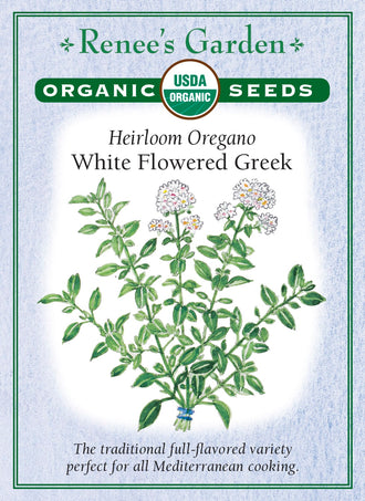 Visuel officiel de Renee's Garden associé aux semences d’origan grec, référence RN3014. Cette référence biologique forme des touffes de petites feuilles bleu-vert au parfum prononcé. Le semencier la propose pour les préparations méditerranéennes, notamment les sauces et les pizzas. Les tiges feuillées se récoltent selon les besoins. Le feuillage peut être utilisé frais ou séché pour conserver un assaisonnement aromatique.