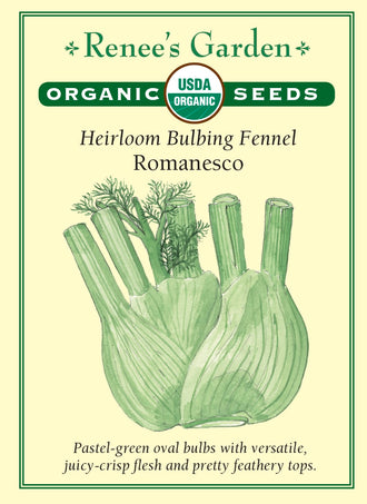 Visuel officiel de Renee's Garden associé aux semences de Fenouil bulbeux ‘Romanesco’, référence RN3017. Cette référence biologique italienne forme une base renflée ovale, surmontée de feuilles plumeuses. Le semencier décrit une chair croquante à saveur douce d’anis. La base peut être préparée crue en salade ou cuite au four, à la poêle et sur le gril. Ce type bulbeux se distingue du fenouil cultivé principalement pour son feuillage.