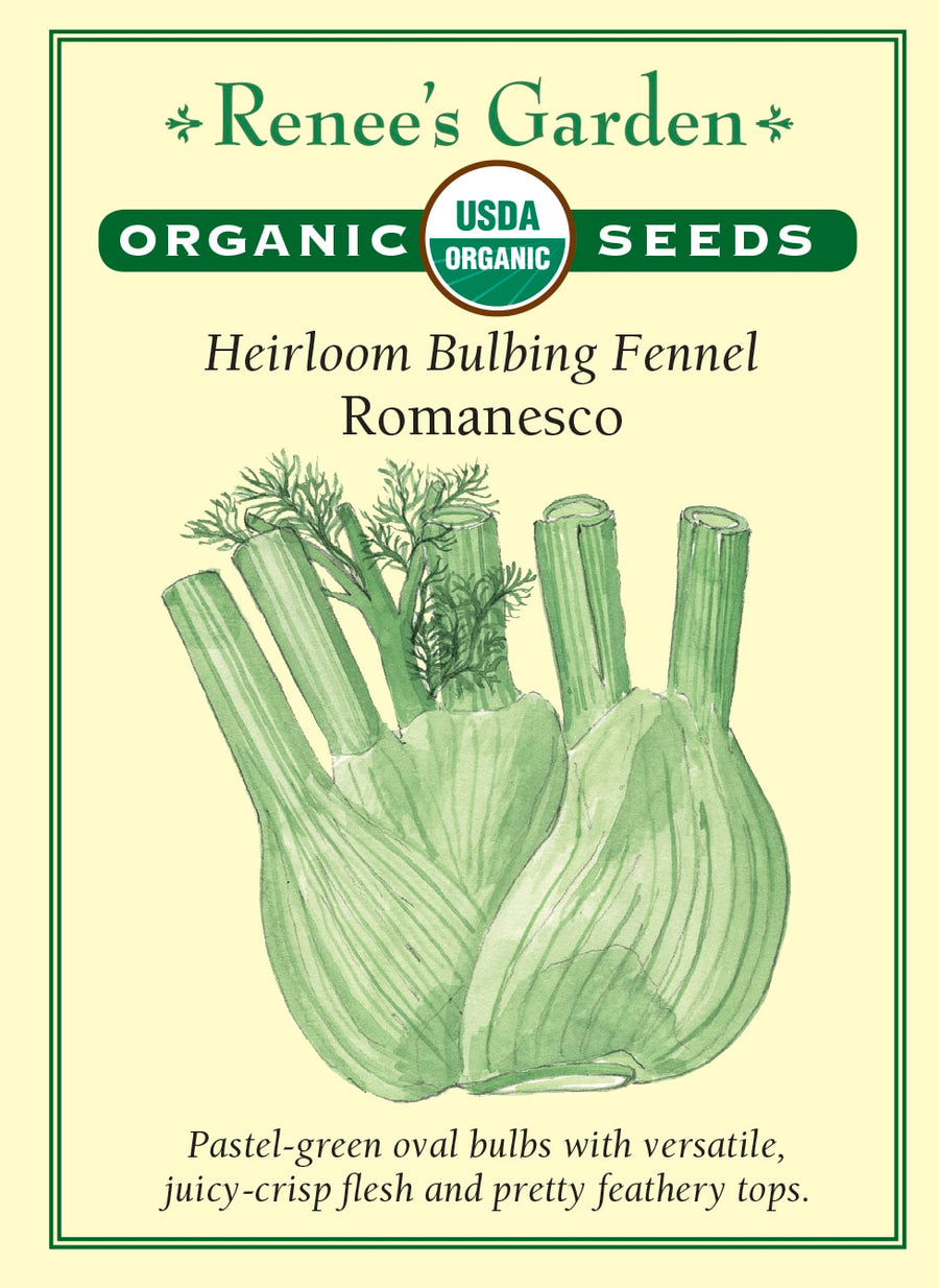 Visuel officiel de Renee's Garden associé aux semences de Fenouil bulbeux ‘Romanesco’, référence RN3017. Cette référence biologique italienne forme une base renflée ovale, surmontée de feuilles plumeuses. Le semencier décrit une chair croquante à saveur douce d’anis. La base peut être préparée crue en salade ou cuite au four, à la poêle et sur le gril. Ce type bulbeux se distingue du fenouil cultivé principalement pour son feuillage.